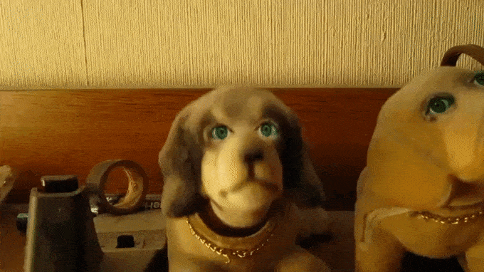 bobble-head-dog